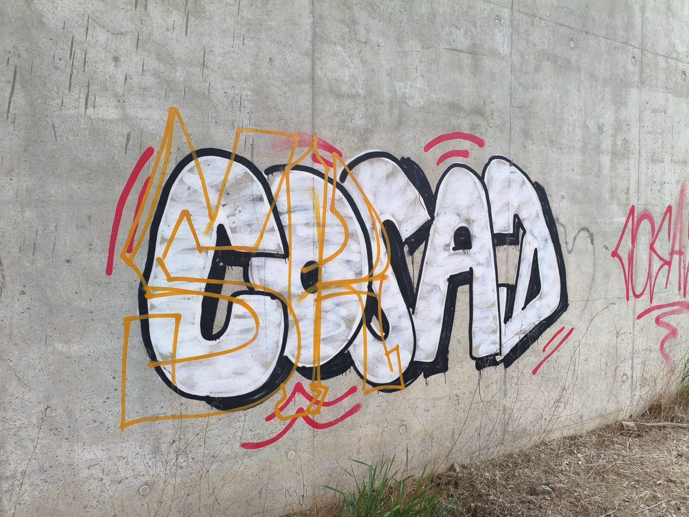 Graffiti auf einer Betonwand vor der Probe-Entfernung