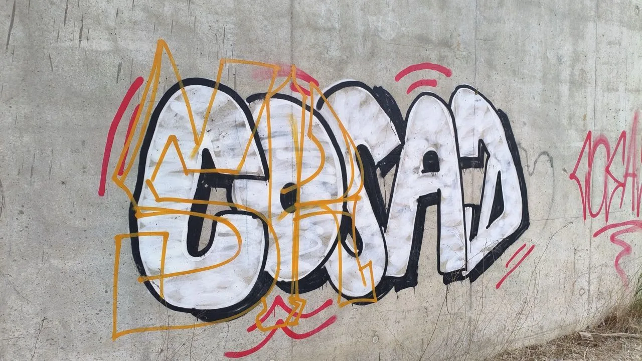 Grenzfall f&uuml;rs Graffiti entfernen mit Hausmitteln: gro&szlig;fl&auml;chiges Graffiti auf por&ouml;ser Betonwand, ein Fall f&uuml;r das Fachverfahren statt f&uuml;r Hausmittel