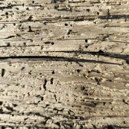 Holzoberfläche mit freigelegter Maserung nach dem Trockeneisstrahlen auf Holz