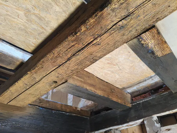 Trockeneisstrahlen auf Holz in der Klingenmühle: gestrahlte Deckenbalken mit offener Maserung