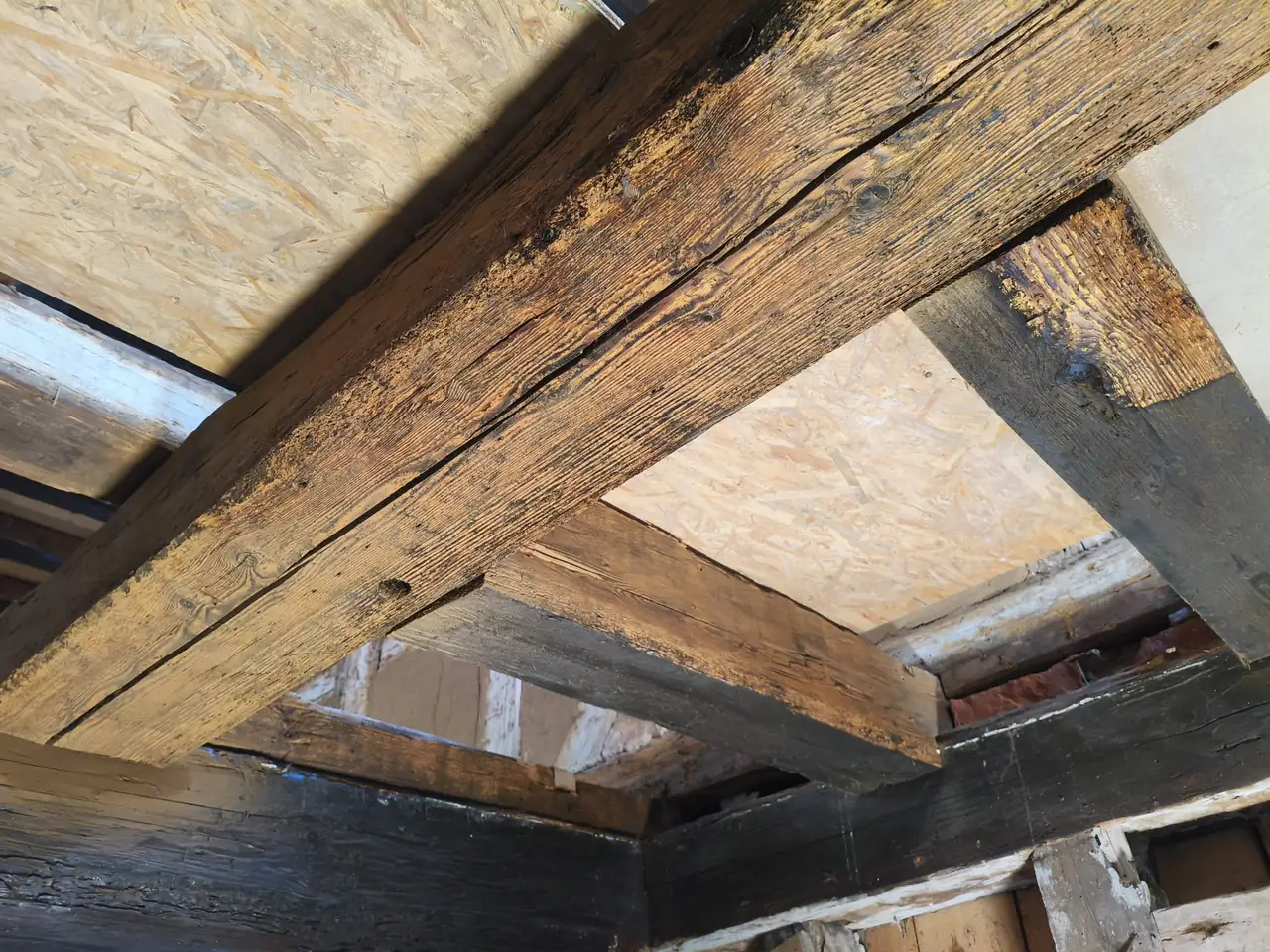 Trockeneisstrahlen auf Holz in der Klingenmühle: gestrahlte Deckenbalken mit offener Maserung, rechts ein Balken mit Grenze zwischen Holz und schwarzer Farbe