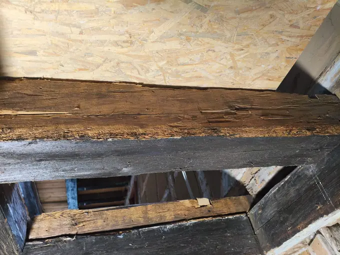 Deckenbalken nach dem Trockeneisstrahlen auf Holz: Oberseite hell gestrahlt, Seitenfläche noch dunkel gestrichen